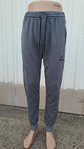 Штаны Спорт 4 Seasons A01-123 grey - делук