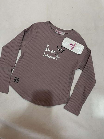 Свитер Zayka ZA1773 brown - делук