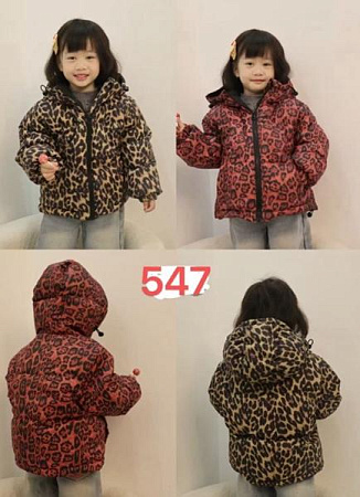 Куртка Farbique 547 brown - делук