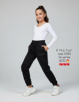 Штаны Спорт Amz D430 black - делук