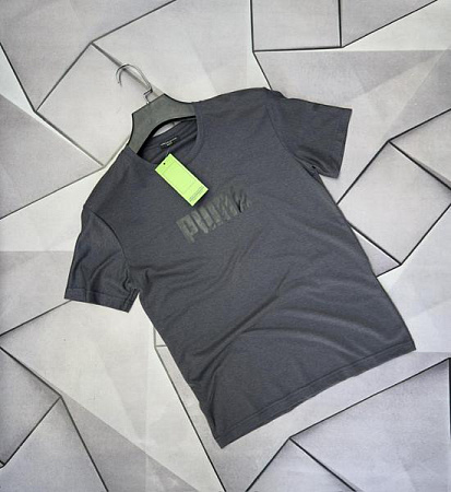 Футболка Rassul 66503 grey - делук