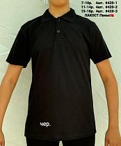 Футболка Amz 420-1 black Футболка Amz 420-1 black - делук
