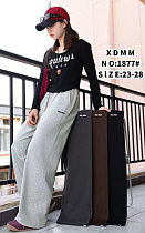 Штаны Спорт Farbique 1877 grey - делук