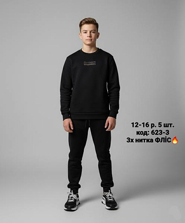 Костюм Спорт Amz 623-3 black - делук