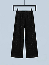 Штаны Спорт Dino D1418 black - делук