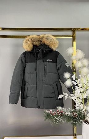 Куртка Delfinka WK593 grey - делук