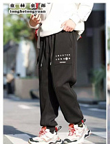 Штаны Спорт Delfinka 88210 black - делук