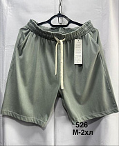 Шорты Minh 526 mint - делук