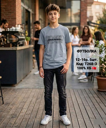 Футболка Ibambino T268-3 grey - делук