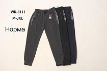 Штаны Спорт Hoan WK8111 grey Штаны Спорт Hoan WK8111 grey - делук