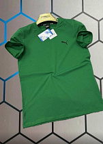 Футболка Alex Clothes 13665 green - делук