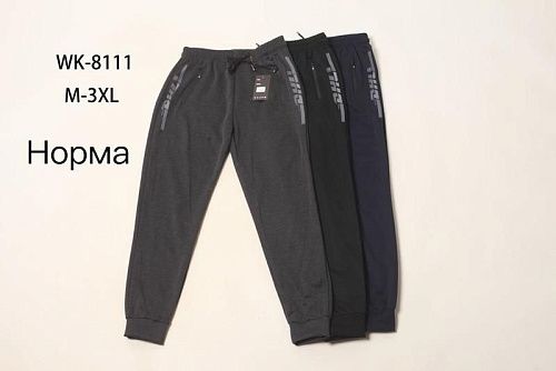 Штаны Спорт Hoan WK8111 grey - делук