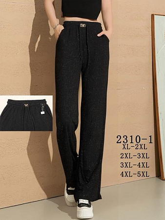 Штаны Спорт Kenalin 2310-1 black - делук