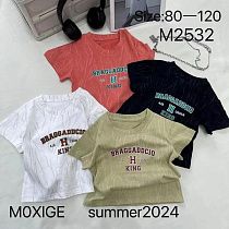 Футболка Фунтик M2532 powder - делук