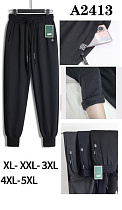 Штаны Спорт Giang A2413 black - делук