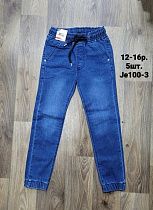 Джоггеры Amz JE100-3 blue - делук