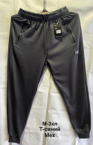 Штаны Спорт Minh 7175 navy - делук