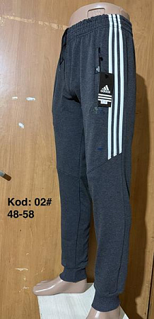 Штаны Спорт Ayden 02 d.grey - делук