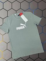 Футболка Alex Clothes 4563 grey - делук