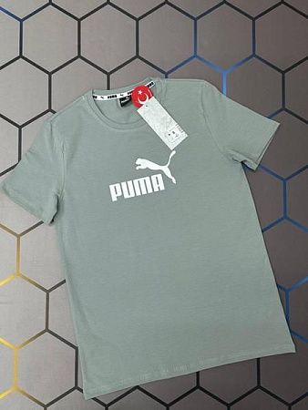 Футболка Alex Clothes 4563 grey - делук
