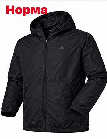 Ветровка Alex Clothes 14874 black - делук