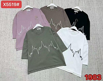 Футболка Шаолинь X5519 mix - делук