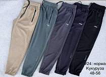 Штаны Спорт Shon 24 green - делук