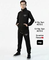 Костюм Спорт Amz 272-2 black - делук