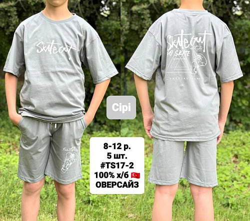Костюм Amz TS17-2 l.grey - делук