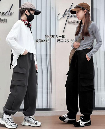 Штаны Спорт Farbique 273 grey - делук