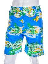 Шорты Meisty 777-4 blue - делук