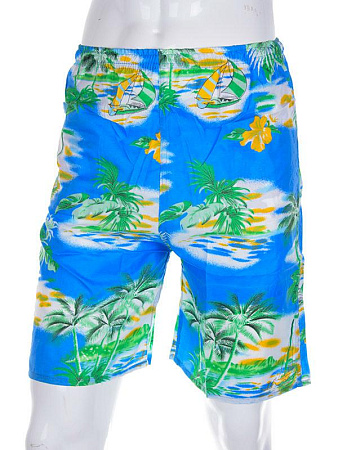 Шорты Meisty 777-4 blue - делук