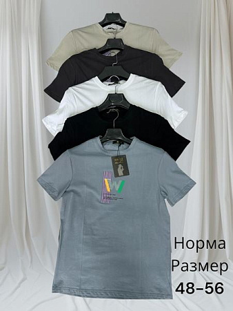 Футболка Hai H1469 d.grey - делук