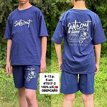 Костюм Ibambino TS17-2 blue - делук