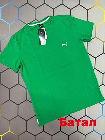 Футболка Alex Clothes 4113 green - делук