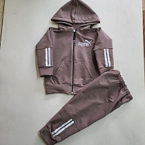 Костюм Спорт Proschenko PR912 brown - делук