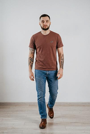 Футболка Sport Style 01-1 brown - делук