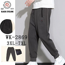 Штаны Спорт Giang WK2869 black - делук