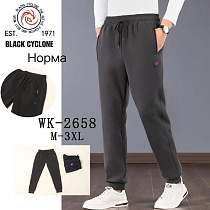 Штаны Спорт Giang G76-2658 black - делук