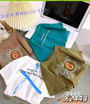 Футболка Фунтик X2443 brown - делук