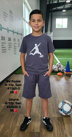 Шорты Amz A2-S2630-2 grey - делук