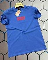 Футболка Alex Clothes 4511 blue - делук