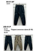 Штаны Спорт Tran AB01P beige - делук