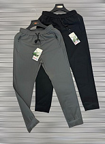 Штаны Спорт F.T.H F979 black - делук