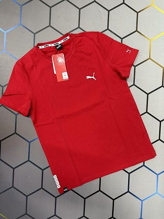 Футболка Alex Clothes 3980 red - делук