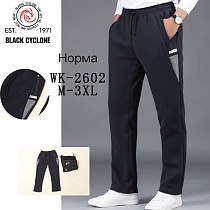 Штаны Спорт Giang G63-2602 black - делук