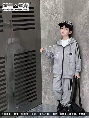 Костюм Спорт Delfinka 99024 grey - делук