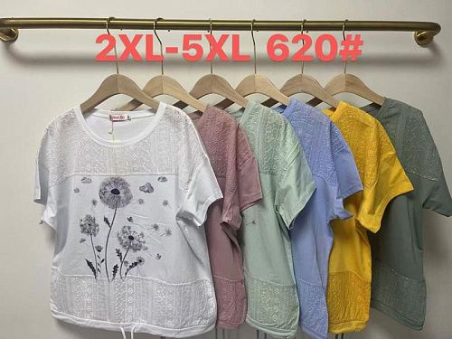 Футболка Desselil 620 mint - делук