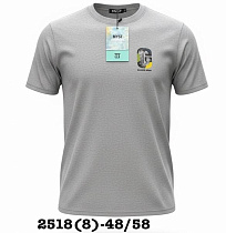 Футболка Liopt 2518-8 grey - делук