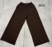 Штаны Спорт Saint Wish 8640 brown - делук